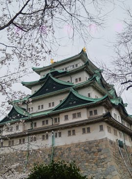 名古屋城に投稿された画像（2025/4/1）