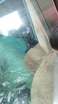 名古屋市東山動植物園に投稿された画像（2025/4/1）