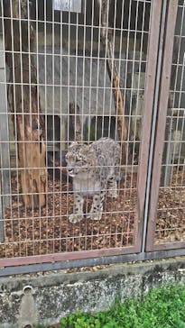 名古屋市東山動植物園に投稿された画像（2025/4/1）