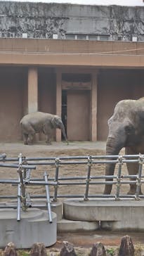 名古屋市東山動植物園に投稿された画像（2025/4/1）