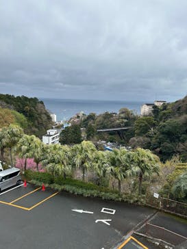 熱川バナナワニ園に投稿された画像（2025/4/1）