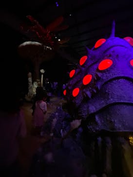 金曜ロードショーとジブリ展　三重展に投稿された画像（2025/4/1）