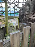 ひらかたパークに投稿された画像（2025/4/1）