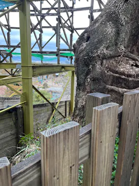 ひらかたパークに投稿された画像（2025/4/1）