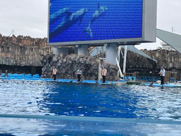 名古屋港水族館に投稿された画像（2025/4/1）