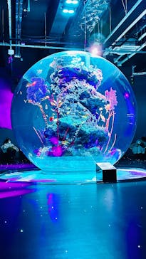 AQUARIUM × ART　atoaに投稿された画像（2025/4/1）