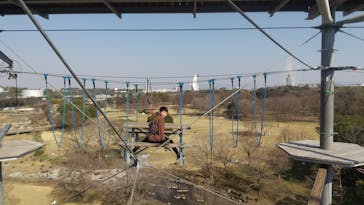 万博記念公園×万博BEAST（ビースト）に投稿された画像（2025/4/1）
