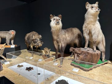  うんち展　-No UNCHI, No LIFE-に投稿された画像（2025/4/1）