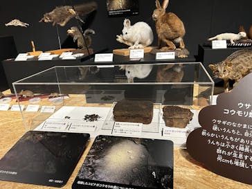  うんち展　-No UNCHI, No LIFE-に投稿された画像（2025/4/1）