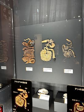  うんち展　-No UNCHI, No LIFE-に投稿された画像（2025/4/1）