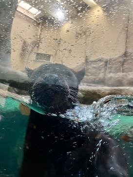 名古屋市東山動植物園に投稿された画像（2025/4/1）