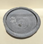 特別展「古代DNA－日本人のきた道」（国立科学博物館）に投稿された画像（2025/4/1）