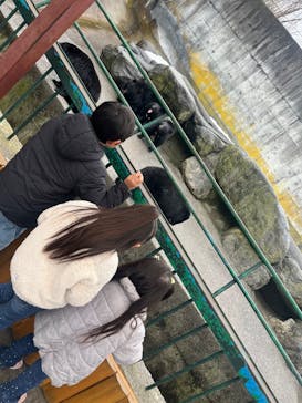 奥飛騨クマ牧場に投稿された画像（2025/4/1）