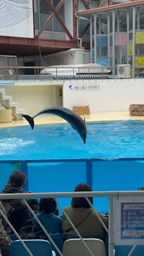 伊豆・三津シーパラダイスに投稿された画像（2025/4/1）