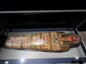 ブルックリン博物館所蔵 特別展 古代エジプトに投稿された画像（2025/4/1）