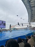 名古屋港水族館に投稿された画像（2025/4/1）