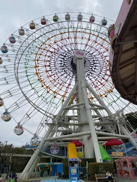 ハーモニーランドに投稿された画像（2025/4/1）