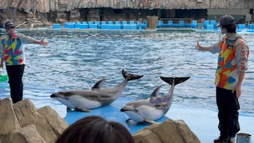 名古屋港水族館に投稿された画像（2025/4/1）
