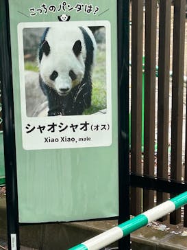 恩賜上野動物園に投稿された画像（2025/4/1）