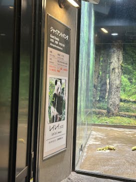 恩賜上野動物園に投稿された画像（2025/4/1）