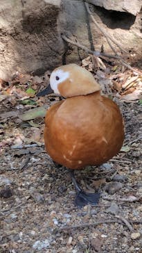 伊豆シャボテン動物公園に投稿された画像（2025/4/1）