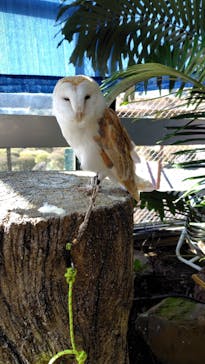 伊豆シャボテン動物公園に投稿された画像（2025/4/1）