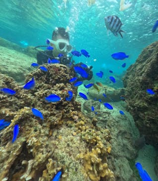 DIVING-SHOP SUNSに投稿された画像（2025/4/1）