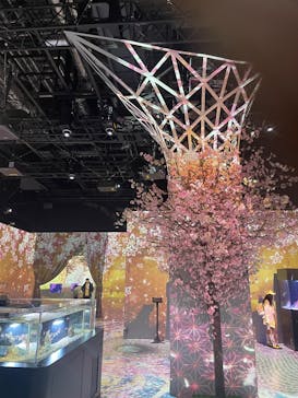 マクセル アクアパーク品川に投稿された画像（2025/4/1）