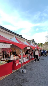 元離宮二条城に投稿された画像（2025/4/1）