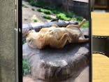 天王寺動物園に投稿された画像（2025/4/1）