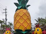 ナゴパイナップルパークに投稿された画像（2025/4/1）