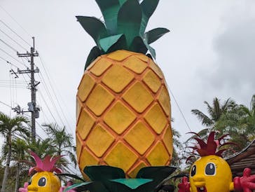 ナゴパイナップルパークに投稿された画像（2025/4/1）