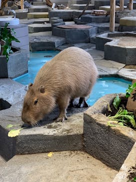 NIFREL（ニフレル）に投稿された画像（2025/4/1）