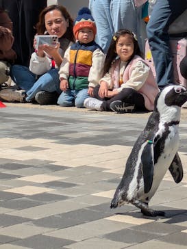 マリンワールド海の中道に投稿された画像（2025/4/1）