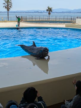 マリンワールド海の中道に投稿された画像（2025/4/1）