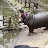 長崎バイオパークに投稿された画像（2025/4/1）