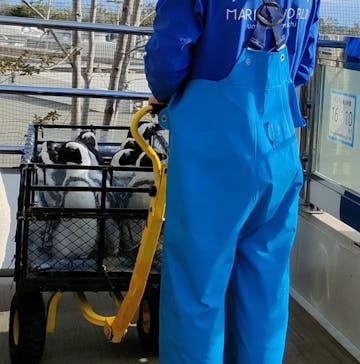 マリンワールド海の中道に投稿された画像（2025/4/1）