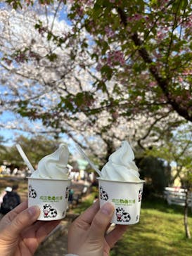 成田ゆめ牧場に投稿された画像（2025/4/1）