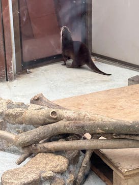 横浜・八景島シーパラダイスに投稿された画像（2025/4/1）