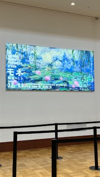 モネ　睡蓮のときに投稿された画像（2025/4/1）