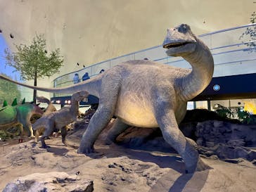 福井県立恐竜博物館に投稿された画像（2025/4/1）