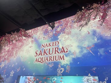 マクセル アクアパーク品川に投稿された画像（2025/4/1）