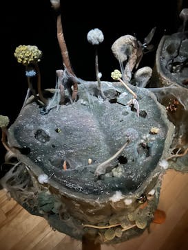 金曜ロードショーとジブリ展　三重展に投稿された画像（2025/4/1）