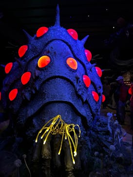 金曜ロードショーとジブリ展　三重展に投稿された画像（2025/4/1）