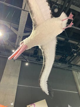 特別展「鳥～ゲノム解析が解き明かす新しい鳥類の系統～」に投稿された画像（2025/4/1）