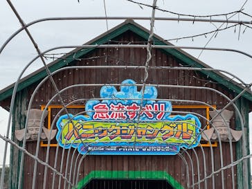 グリーンランドに投稿された画像（2025/4/1）