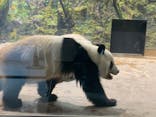 恩賜上野動物園に投稿された画像（2025/4/2）