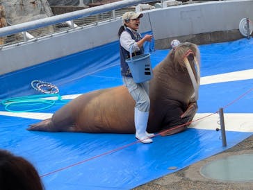 大分マリーンパレス水族館 「うみたまご」に投稿された画像（2025/4/2）