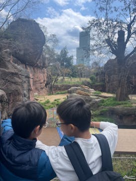 天王寺動物園に投稿された画像（2025/4/2）