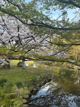 新宿御苑に投稿された画像（2025/4/2）